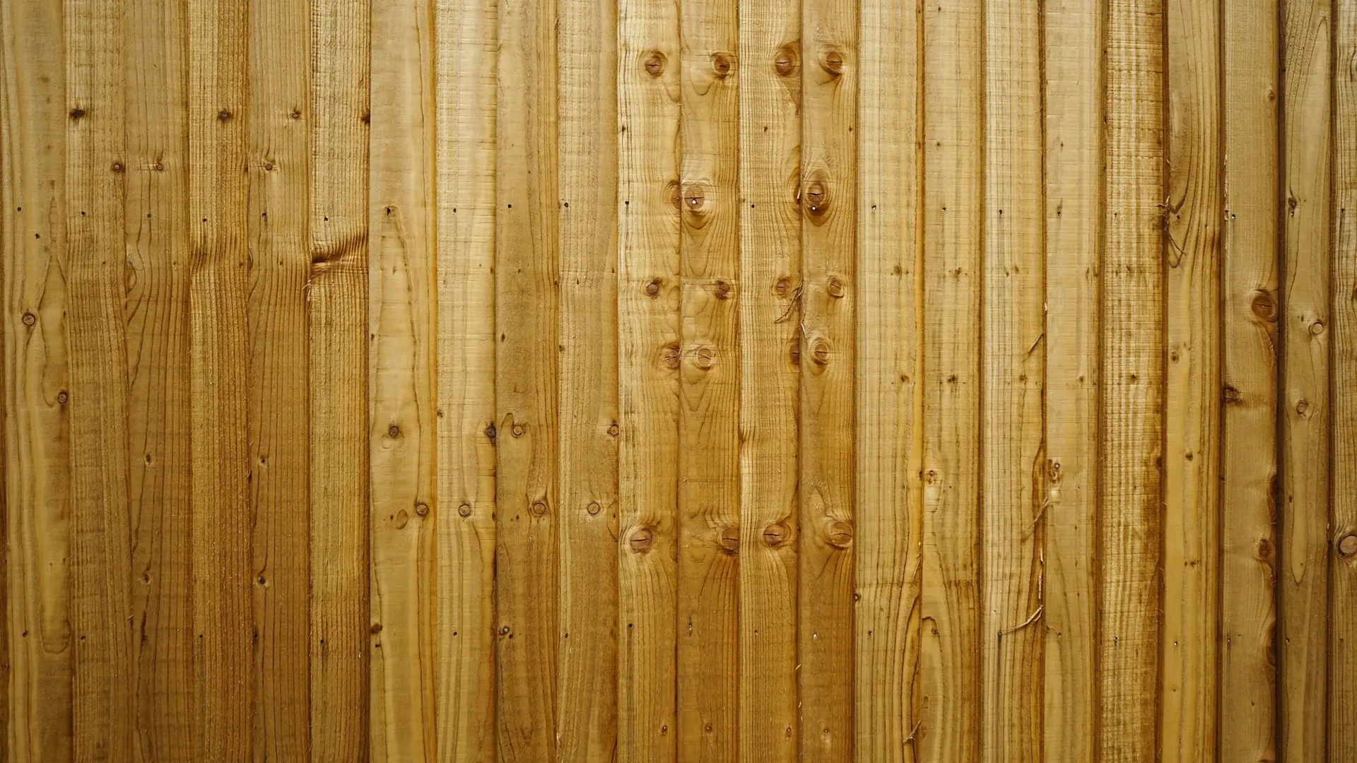 fence painting